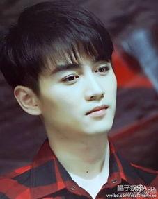 娱乐吃瓜男明星头发,揭秘男明星头发的秘密与魅力